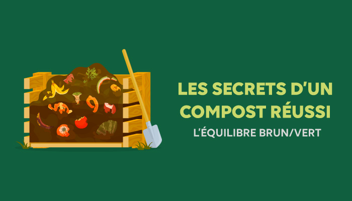 Les secrets d’un compost réussi : l’équilibre brun/vert