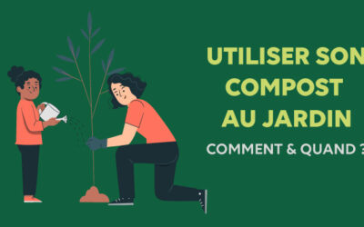 Utiliser son compost au jardin : comment et quand ?