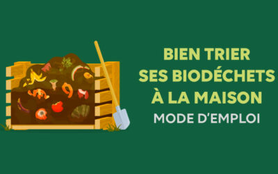 Bien trier ses biodéchets à la maison : mode d’emploi