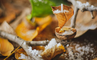 Préparer l’hiver : entretenir et protéger son compost