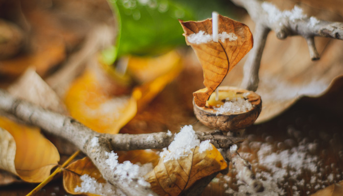 Hivernage-compost---ValOrizon-&-les-restes-alimentaires---Des-solutions-de-proximités-pour-la-gestion-des-biodéchets-en-Lot-et-Garonne