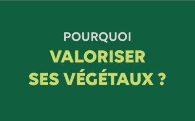 Pourquoi valoriser ses végétaux plutôt que les amener en déchèterie ?