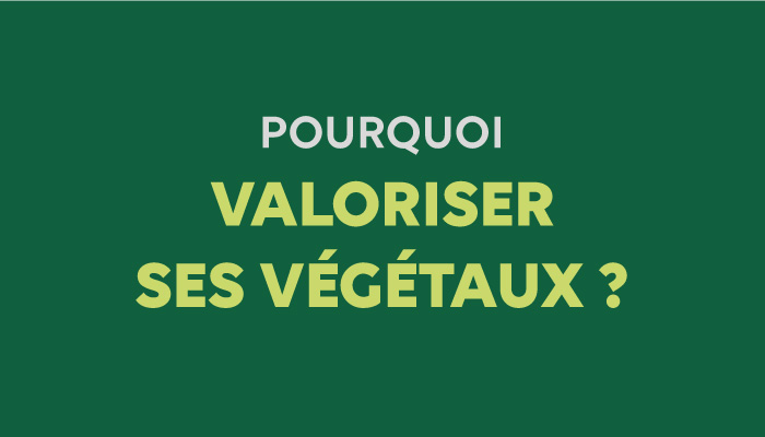 Pourquoi valoriser ses végétaux plutôt que les amener en déchèterie ?